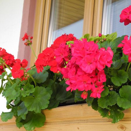 Appartement Am Tatscherlehen Piesendorf Buitenkant foto